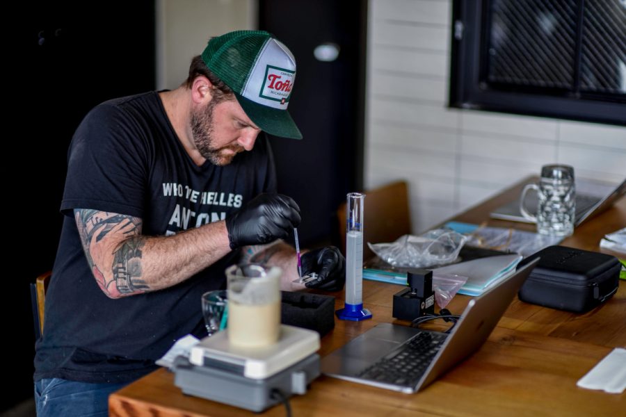 brewery worker examining beer samples
