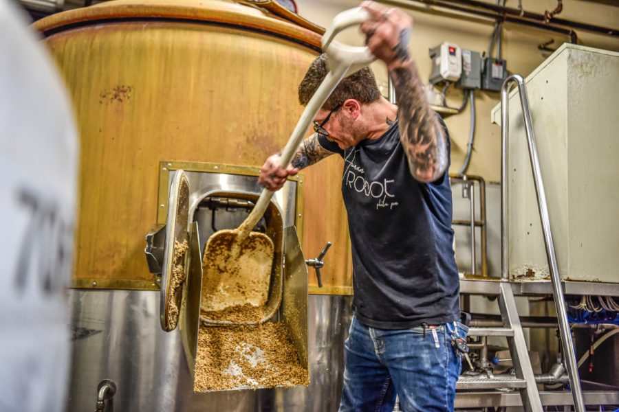 brewery worker shoveling out spent grain
