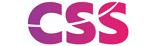CSS logo