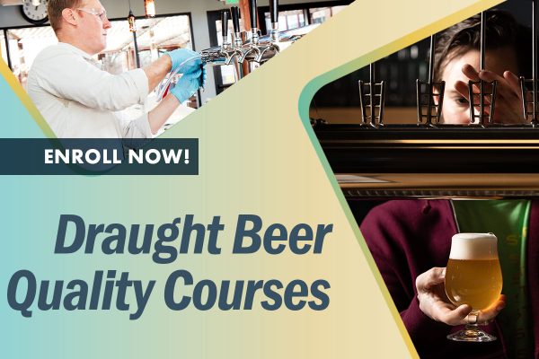 Draught Beer Quality Courses ad