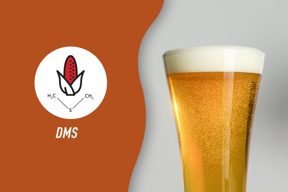 Glass of beer next to brown icon featuring a cob of corn, label of "DMS," and DMS's chemical makeup.