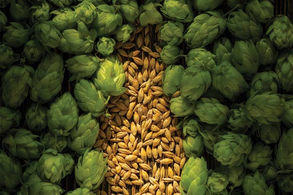 The New Brewer July Aug 2024 Flavor Experts