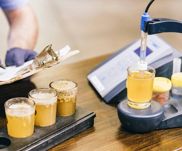The New Brewer July Aug 2024 pH