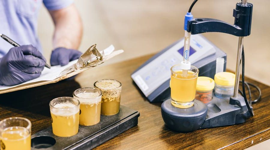 The New Brewer July Aug 2024 pH