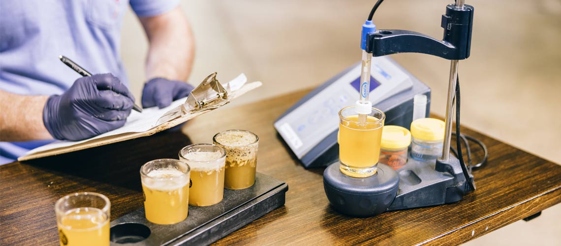 The New Brewer July Aug 2024 pH