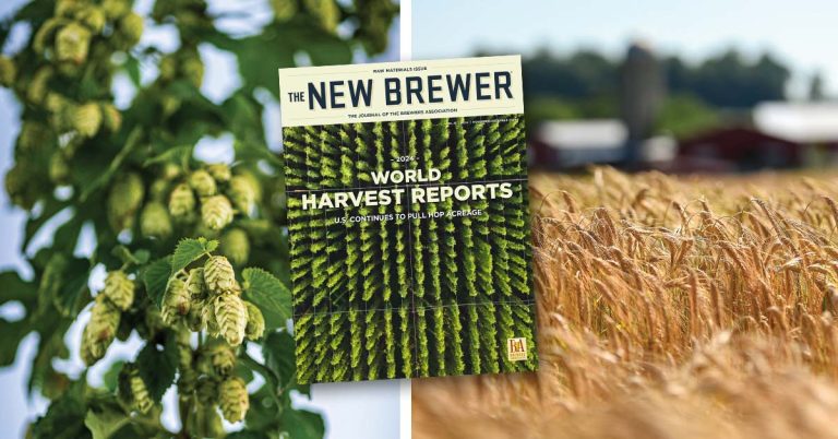 The New Brewer Nov Dec 2024 Cover