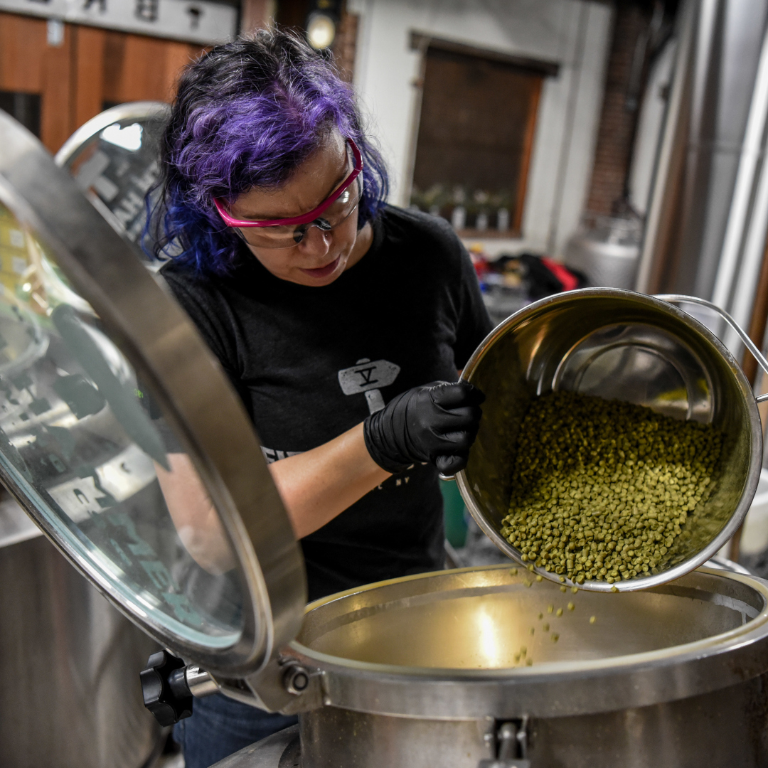 brewer adding hops to a kettle