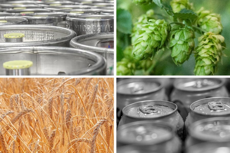 quadrant images of kegs, hops, barley, cans